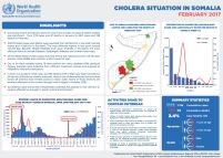Cholera situation in Somalia, February 2017