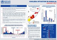 Cholera situation in Somalia, January 2017