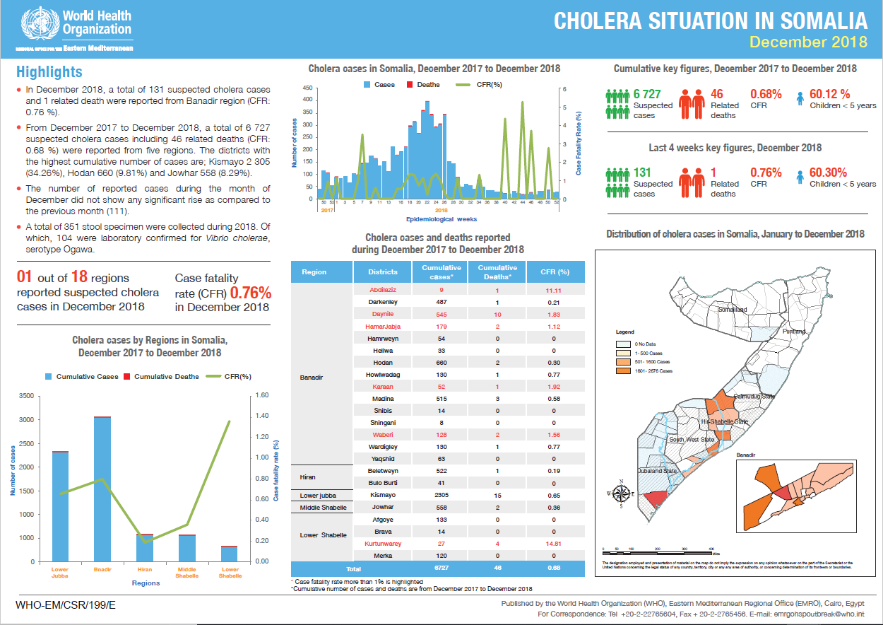 Outbreak update - Cholera in Somalia 30 December 2018