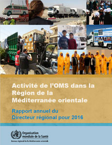 Annual report - 2016