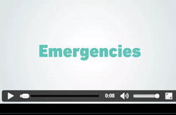 Animated infographic on emergencies
