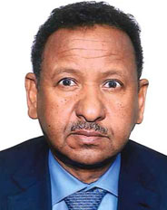 Dr Mustafa Oman Ismail Elamin: proposed by Sudan