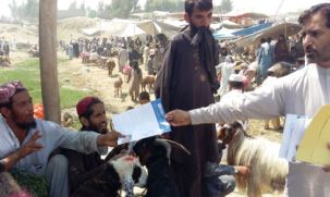 Distribution of information materials on Crimean-Congo haemorrhagic fever (CCHF) at a cattle market in Jalalabad. WHO/A.Alkozai
