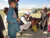 A child receiving a polio vaccine in Kandahar, Afghanistan