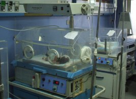 A photograph of a newborn inside an incubator 