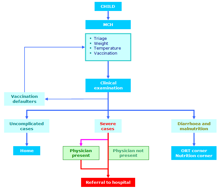 Organizational Chart For A Healthcare Facility