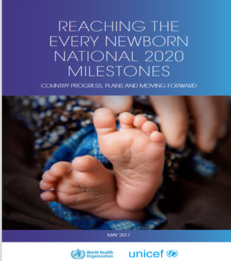 Reaching the every newborn national 2020 milestones