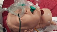 A dummy's head used for demonstration of techniques in the interactive training course