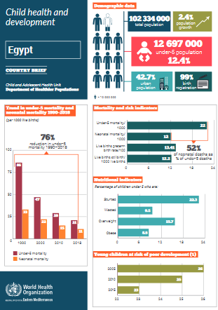 Egypt child health profile