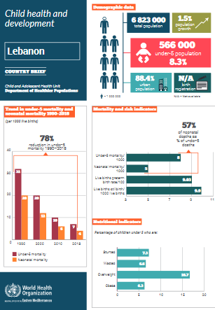 Lebanon health profile