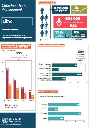 Libya health profile