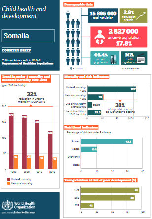 Somalia health profile