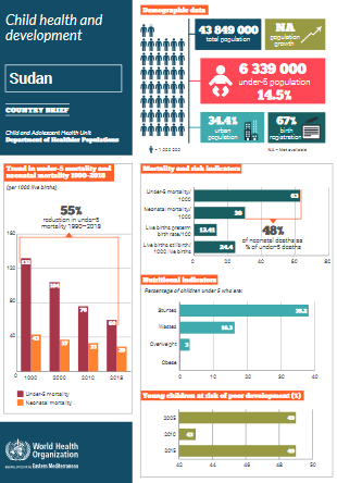 Sudan health profile