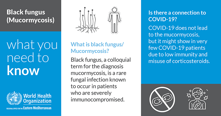 What is black fungus