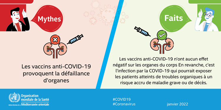 COVID-19 myth buster January 3033 - 3 - French