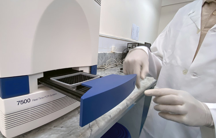 تتطلب الخطوة الأخيرة في عملية الاختبار جهاز تفاعل البوليميراز المتسلسل، الذي يكشف احتواء العينة على الحمض النووي لفيروس كورونا سارس-2. وقد وفرت المنظمة أجهزة تفاعل البوليميراز المتسلسل للعديد من المختبرات في الإقليم، مثل هذا المختبر في اليمن.