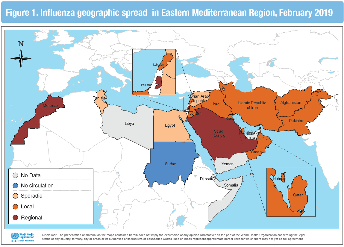 Influenza geographic spread in Eastern Mediterranean Region, February 2019