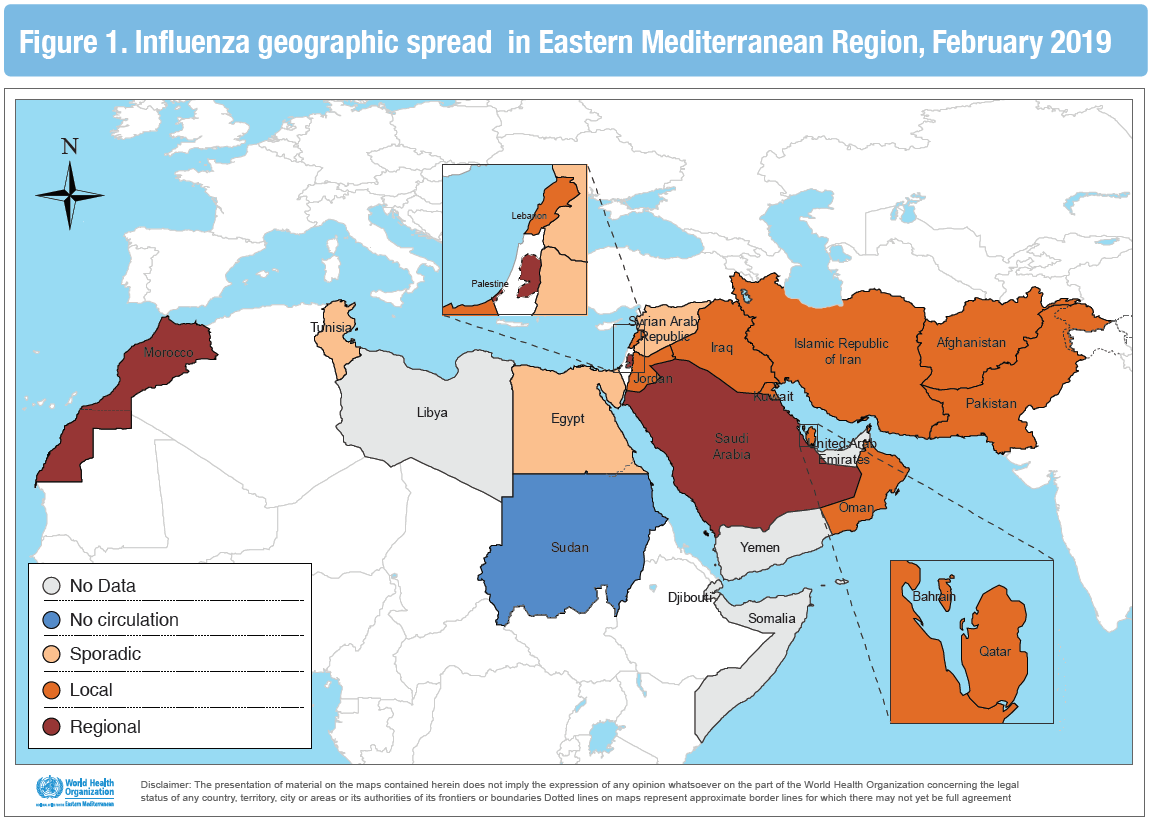 Influenza monthly update, February 2019