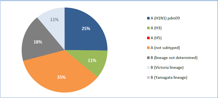 20191110_who_emro_whe_ihm_Influenza_monthly_3