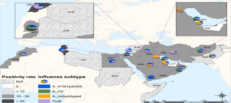 Influenza monthly update, January 2020