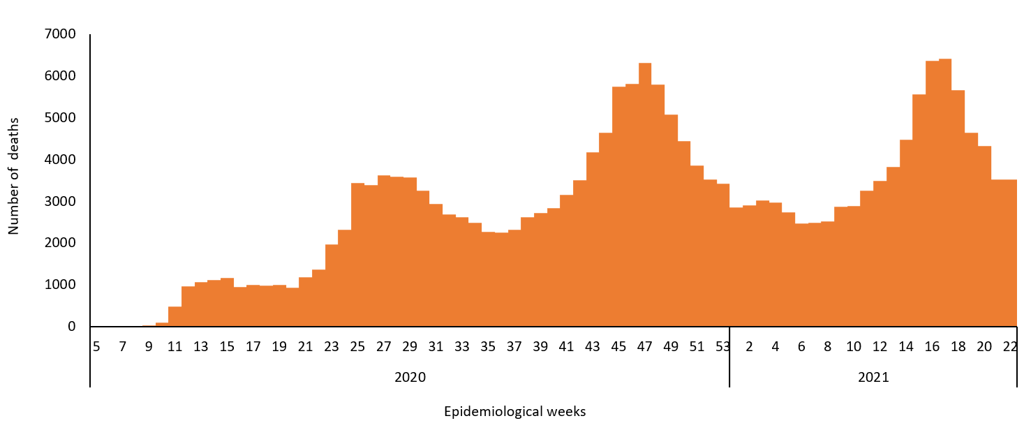 COVID-19 epidemiological cases for deaths