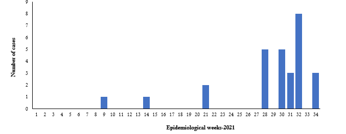 Fig.10.2021