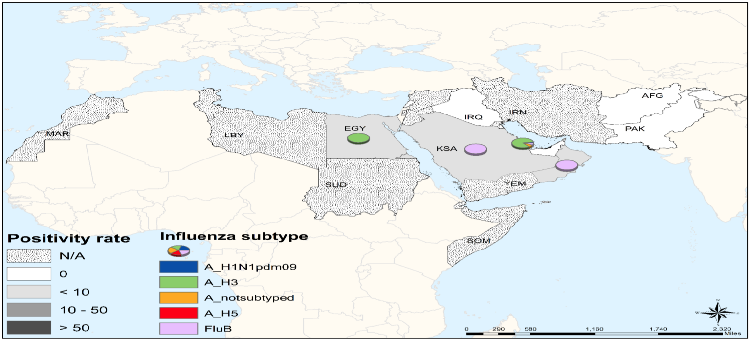 Map showing positivity rate and influenza subtype in the WHO Eastern Mediterranean Region