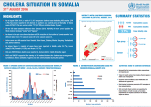 Cholera situation in Somalia, 31 August 2016