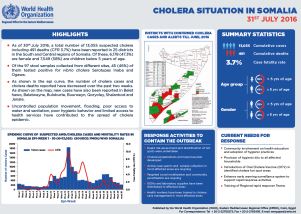 Cholera situation in Somalia, 31 July 2016