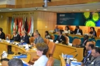 Des hauts représentants ont participé à la réunion de consultation de l'OMS sur le coronavirus, en juin 2013.