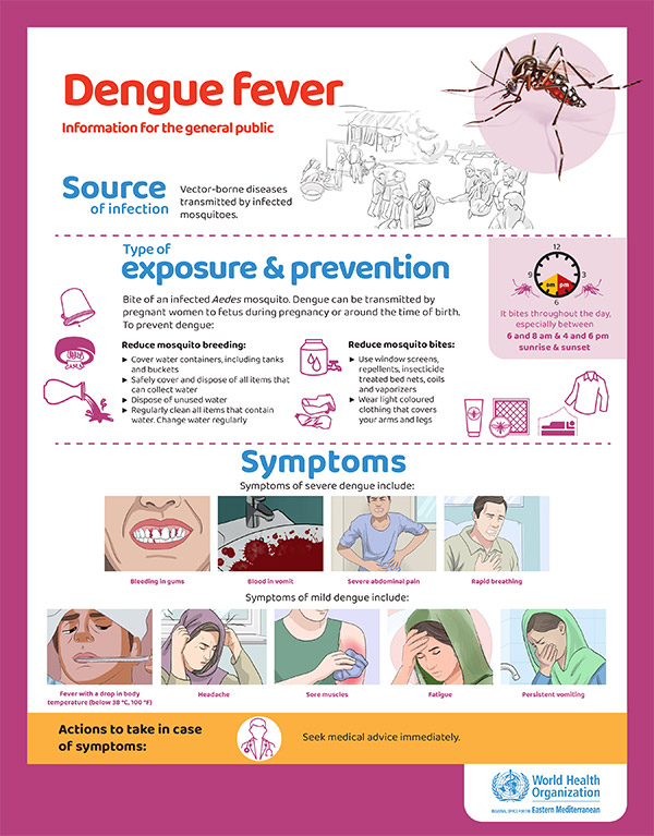 Dengue  posters