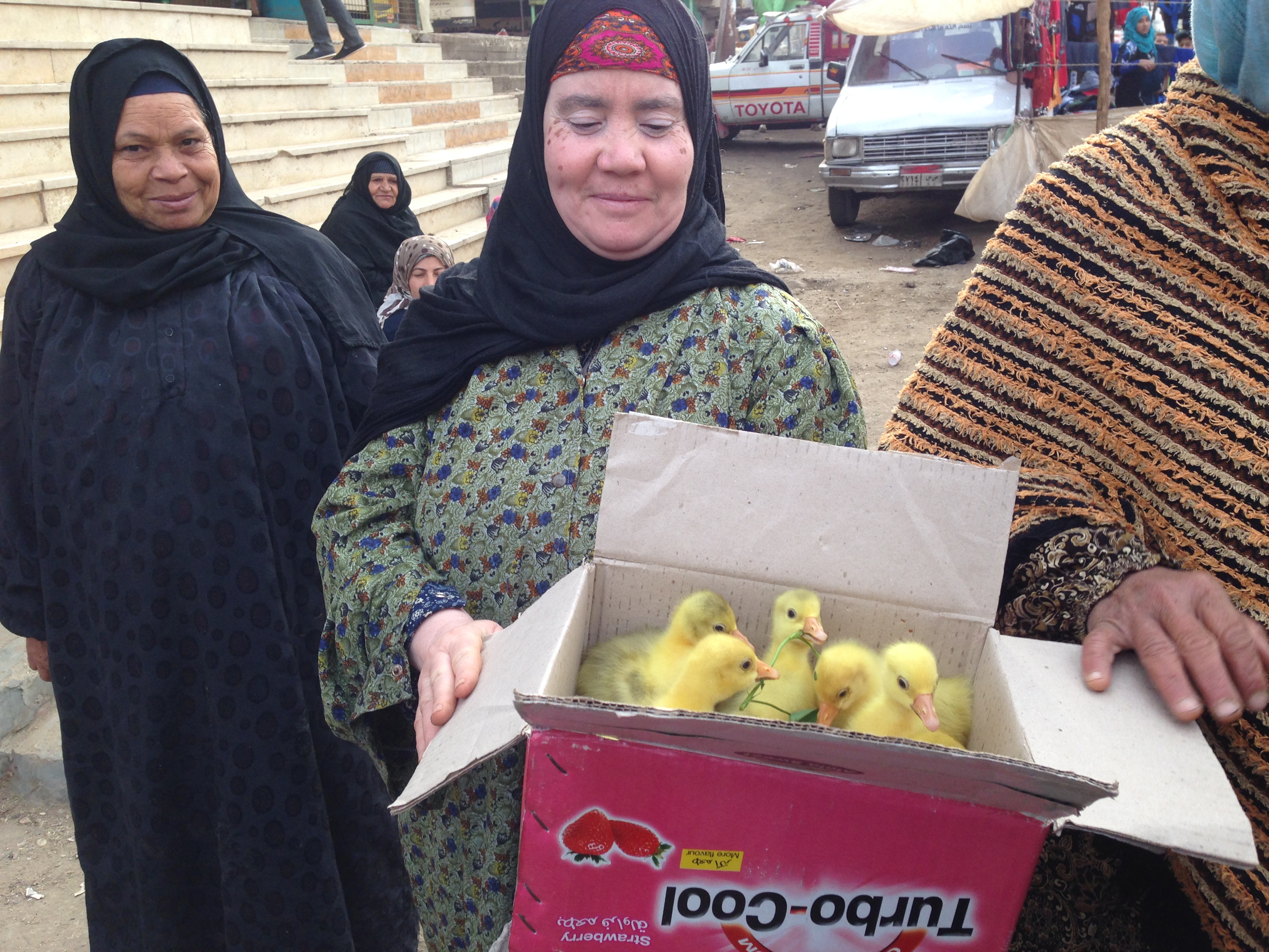 Egyptian woman holding box of ducklings