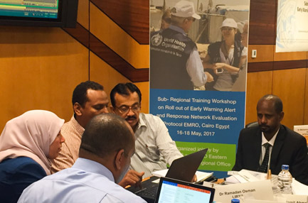 WHO conducts EWARN evaluation protocol training workshop in Cairo