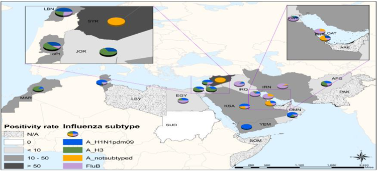 Influenza monthly update, February 2020