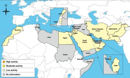 Fig. 1. Influenza activity in Eastern Mediterranean Region, August 2017