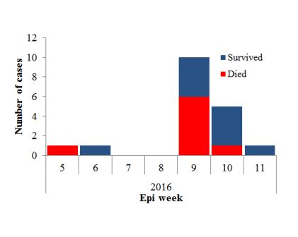 Fig._13._Number_of_MERS-CoV_cases_during_Buraida_outbreak_March_2016_n18