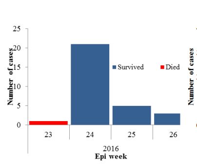 Fig._14._Number_of_MERS-CoV_cases_during_Riyadh_hopsital_outbreak_June_2016_n30