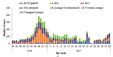 Figure 2. Weekly positive cases of influenza by subtype, Epi week 34/2016-2017
