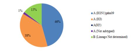 Fig._3._Circulating_influenza_viruses_in_the_Region_by_subtype_Epi_week_40-43_2017