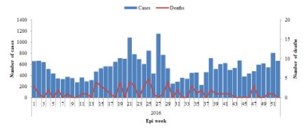 Figure 6. Suspected cases and deaths from Dengue fever reported in Yemen, Epidemiological week 1-52, 2016