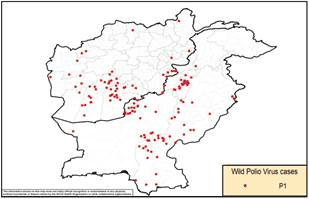 Fig. 20. Geographical distribution of poliomyelitis (WPV1) cases reported from Afghanistan and Pakistan in 2020