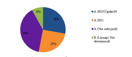 Fig 3. Circulating influenza viruses in the Region by subtype, Epi week 31-34, 2017