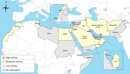 Figure_1._Influenza_activity_in_Eastern_Mediterranean_Region_May_2017