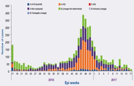 Figure_2._Weekly_positive_cases_of_influenza_by_sub-type_April_2016_-_April_2017