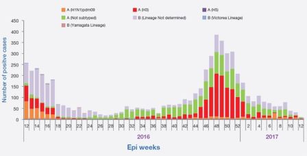 Figure 2. Weekly positive cases of influenza by sub-type, March 2016-March 2017