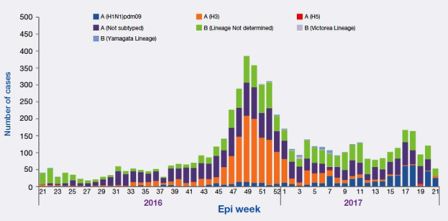 Figure_2._Weekly_positive_cases_of_influenza_by_sub-type_May_2016_-_May_2017