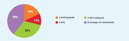 Figure 3. Circulating Influenza viruses in the EMR by type, Epi week 9 to 12, 2017