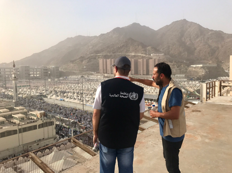 Mission accomplished: an incident- and outbreak-free Hajj