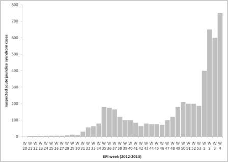 Cases of acute jaundice syndrome by week, Maban county, South Sudan, 2012–2013 (n= 6340)