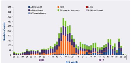 Influenza_by_sub-type